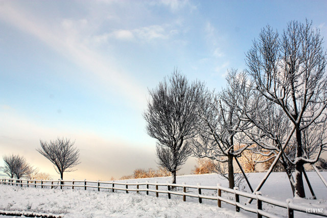 雪景色 冬 石川 金沢 キゴ山 夕陽の丘周辺